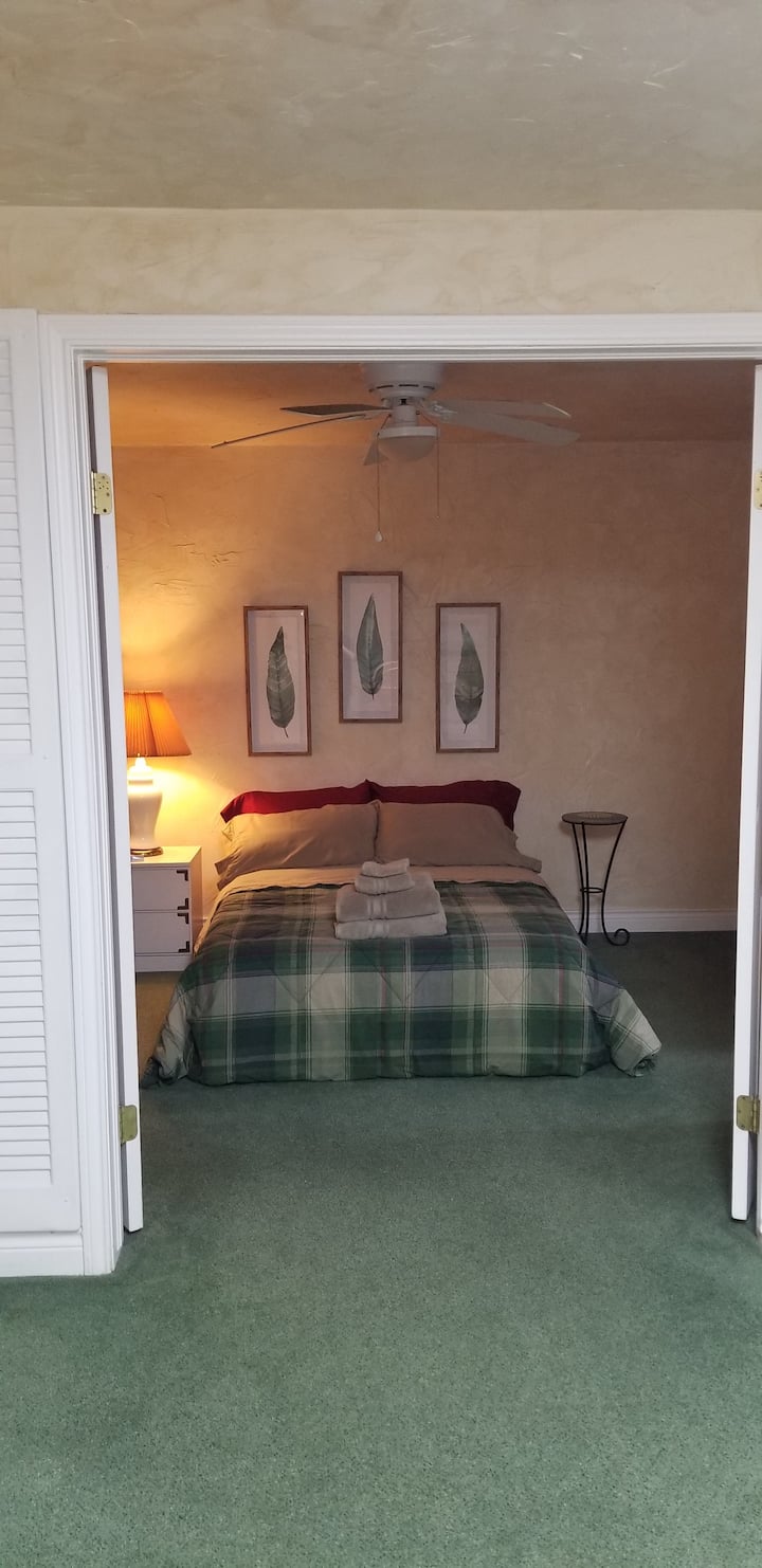 Guest Suite Bedroom- Queen Bed w/ 8 ft walk in closet  and  #2 smaller closet on Right  