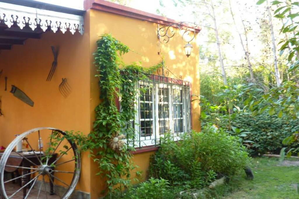 Entorno natural, frutales y ornamentales.