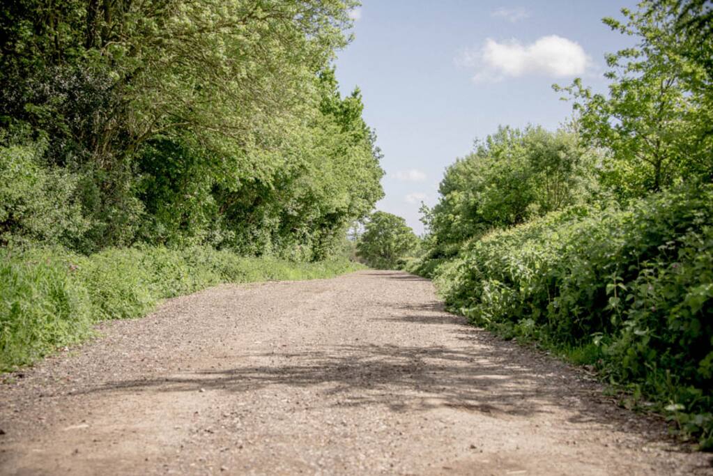 Track to the yurts
