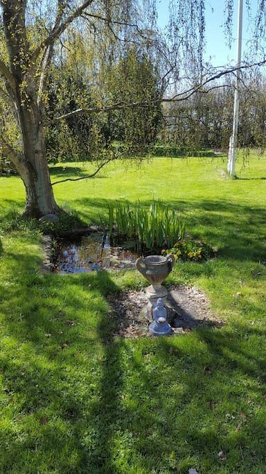 Front garden