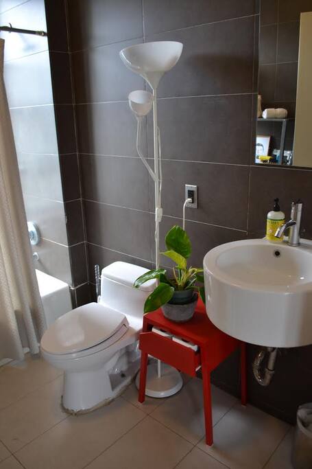 Shared bathroom