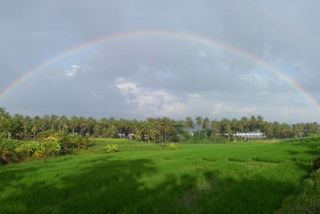 Panoramic views of rice fields and the beach beyond.