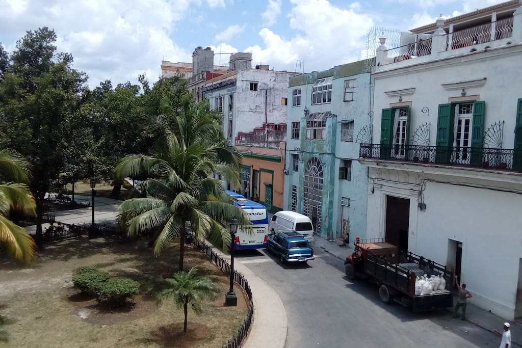 View from the house
