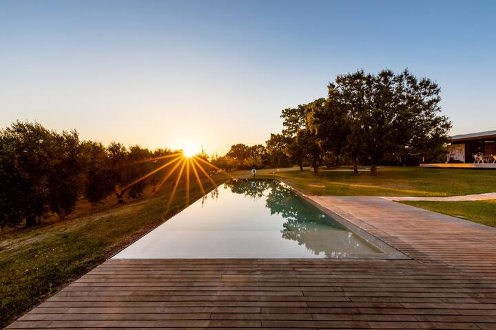 Casa M 101 gallery image 2