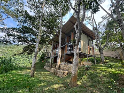 Luxurious house in the trees