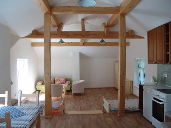 Apt In Forest 2nd Floor. Upper Floor. - Písek
