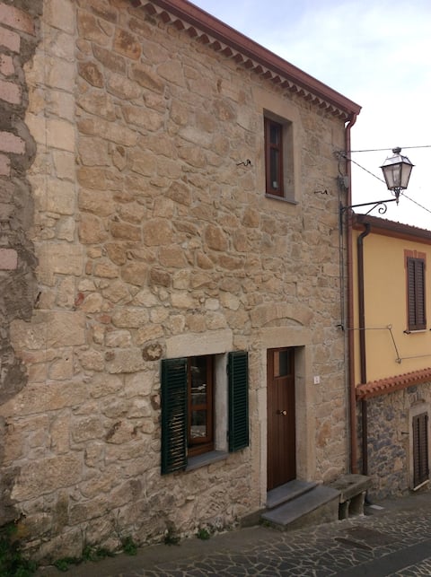 House in the historic center 
CIN-IT095051C2000P3122