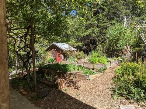Juliette's Place - Be In The Woods -  Retreat