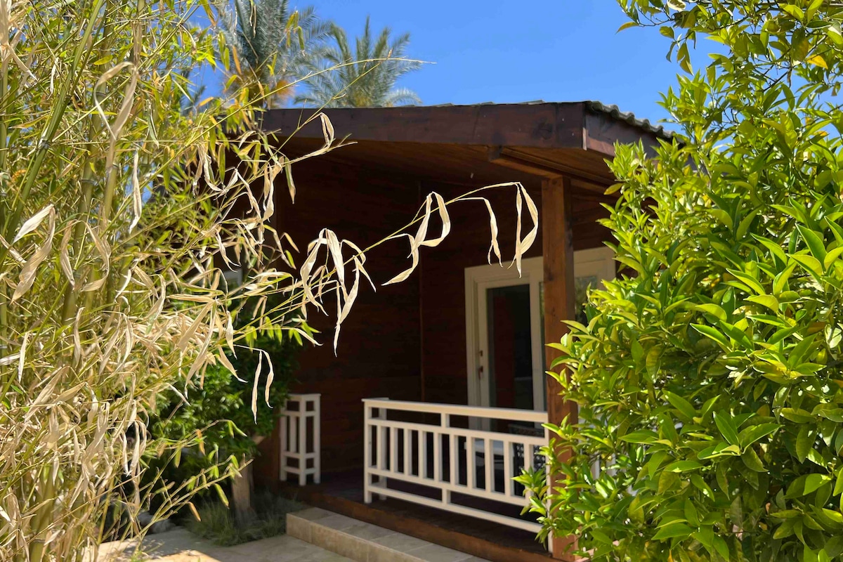 A cozy bungalow is framed by lush greenery, featuring a wooden porch with a railing. Sunshine illuminates the entrance, creating a welcoming atmosphere. Palm trees and vibrant plants surround the outdoor space, enhancing the natural setting.