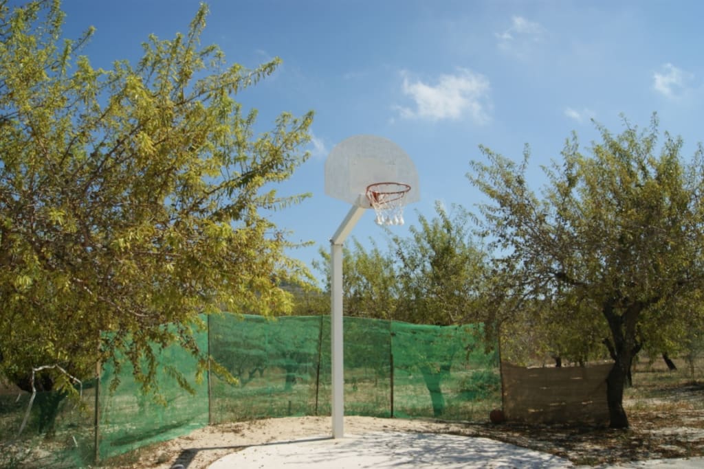 Canasta de Baloncesto