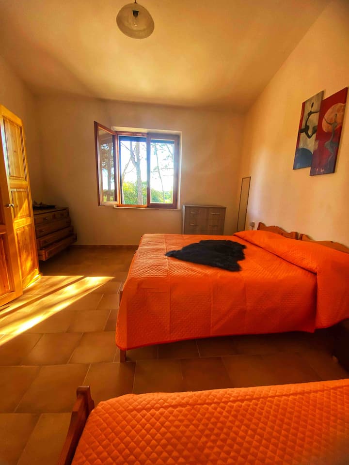 Amplia habitación doble a la que puedes añadir en caso de otros huéspedes o un niño, una cama individual y/ o una cuna para niños más pequeños.
