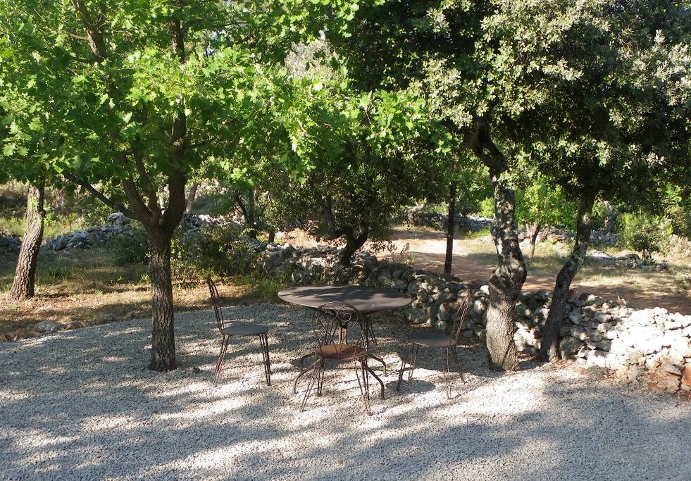 espace ombragé.
