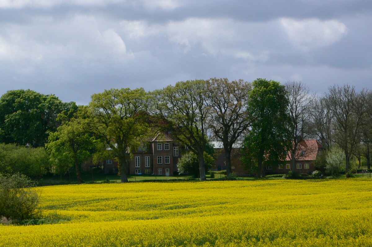 A scenic view showcases a field of bright yellow flowers in the foreground, leading to a cluster of large trees. In the background, a charming building with multiple windows stands, surrounded by greenery and fields under a cloudy sky.