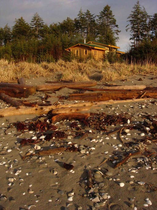 how close the cottage is to the ocean!