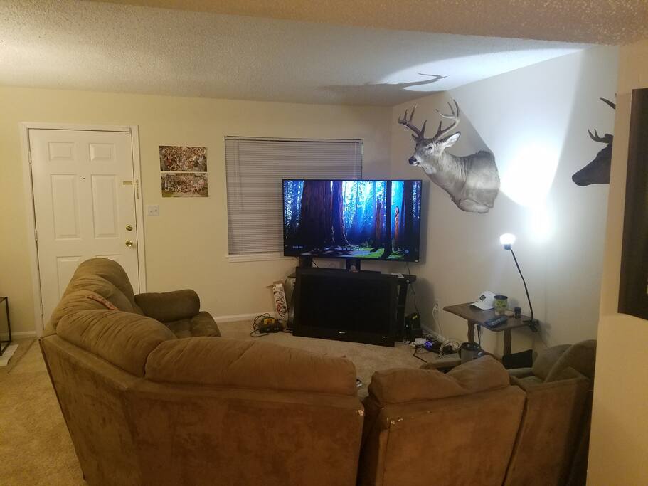 Living Room (Pull-out Bed)