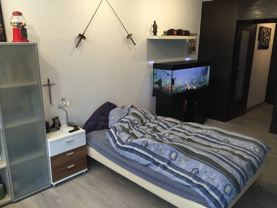 Bed and living area