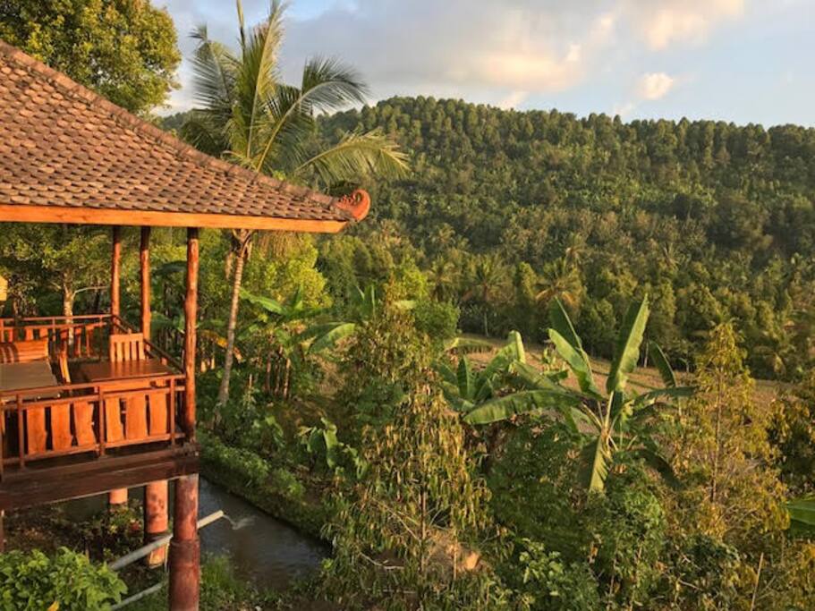 Bungalow side