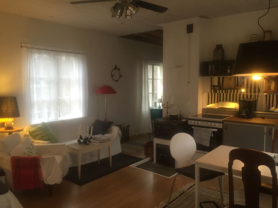 Open kitchen and living area