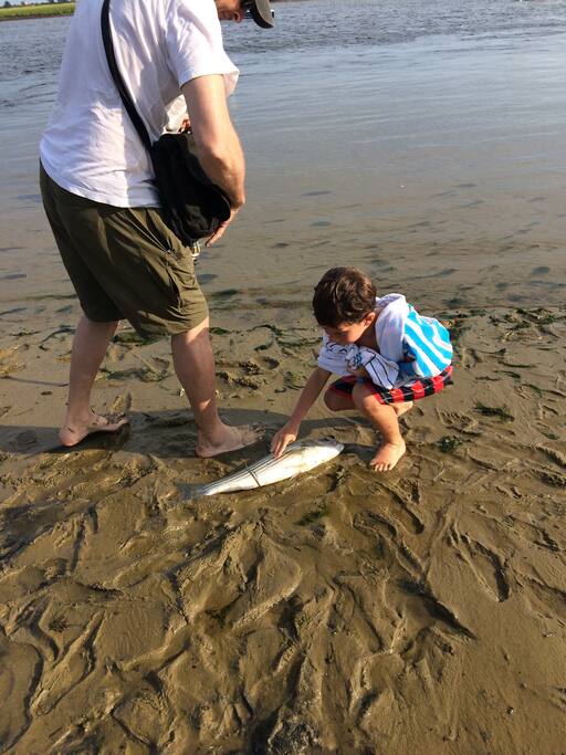 So trhat's a 20 inch striped bass!