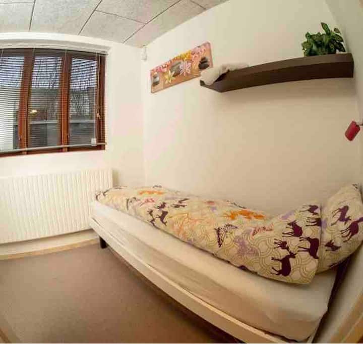 Single room 2