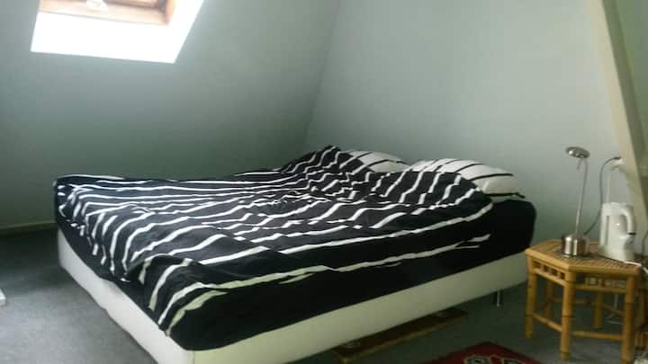 Mooie Woning In Het Groen - Hilversum
