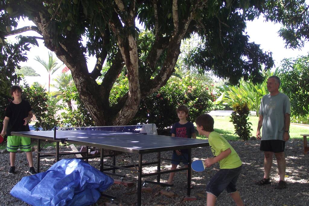 Ping-Pong