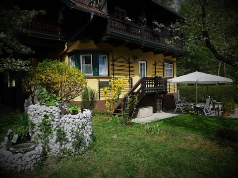 Popular Airbnb listing: Schranz apartment in Zell Am See