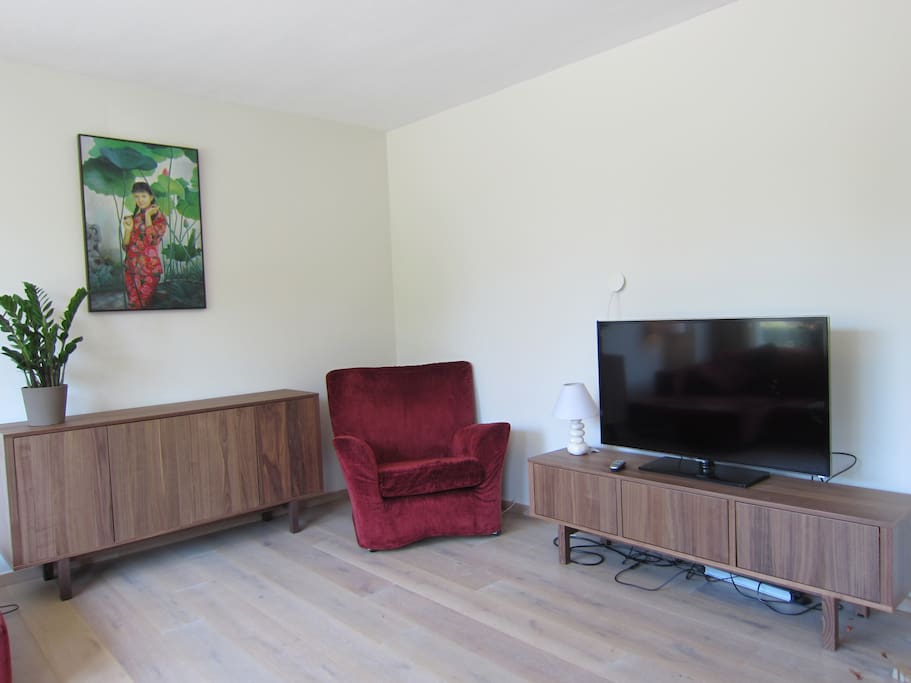 Living room with large flatscreen tv and dvd player