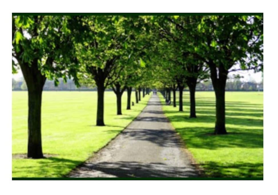 Town Fields Park....
Just step outside the gate!