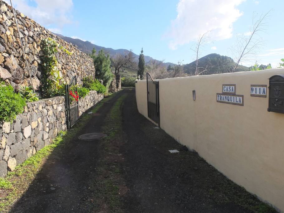 The driveway