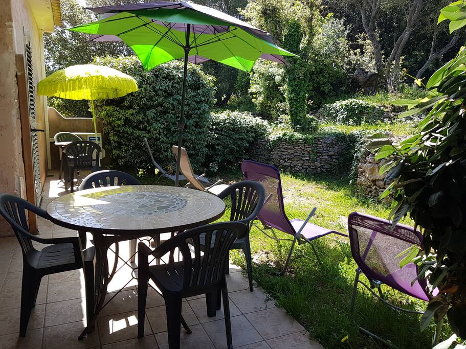 vue du jardin sur les oliviers