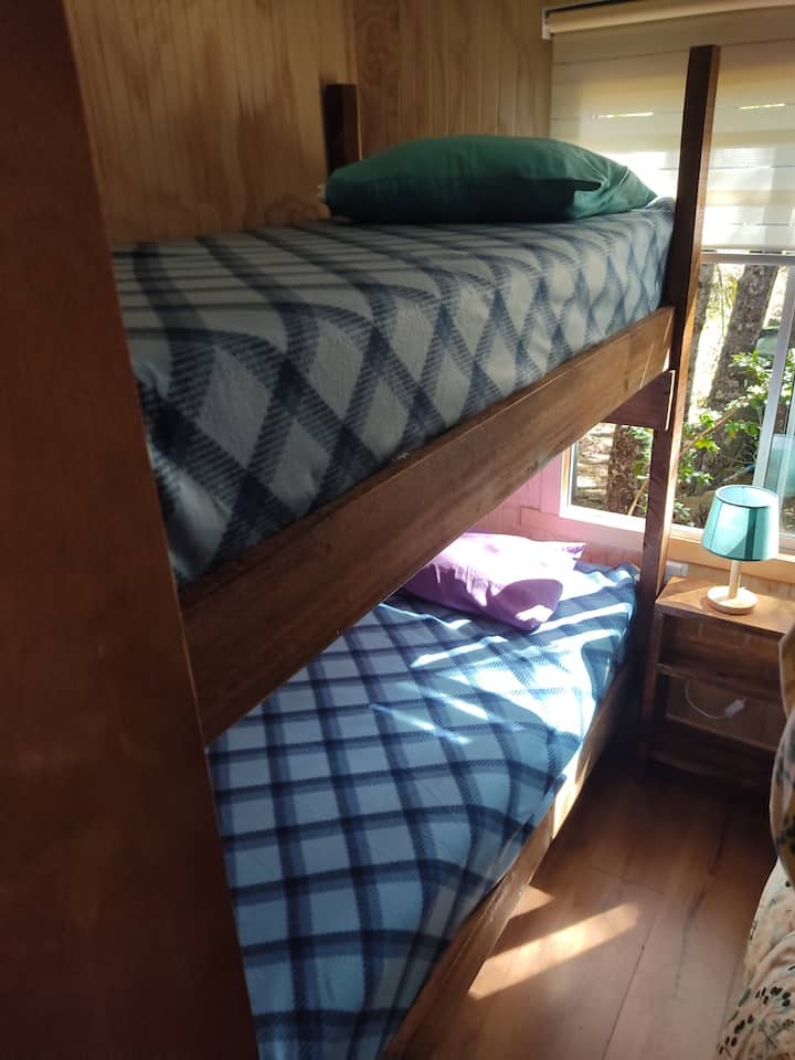 Cabin 1,  1 square