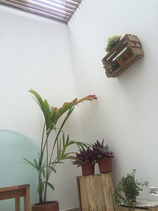 Indoors yard ✨