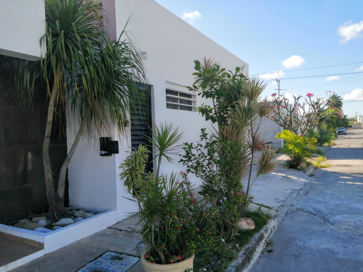 The exterior of the property is characterized by a clean, modern design. Lush greenery, including palm and flowering plants, adorns the entrance, creating a welcoming atmosphere. The concrete path leads to the front door, with a mailbox visible beside the landscaped area.