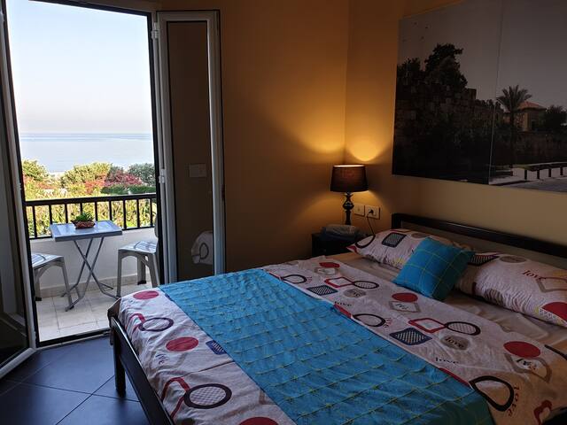 CASA Marittima N1