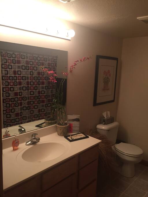 Large private bath