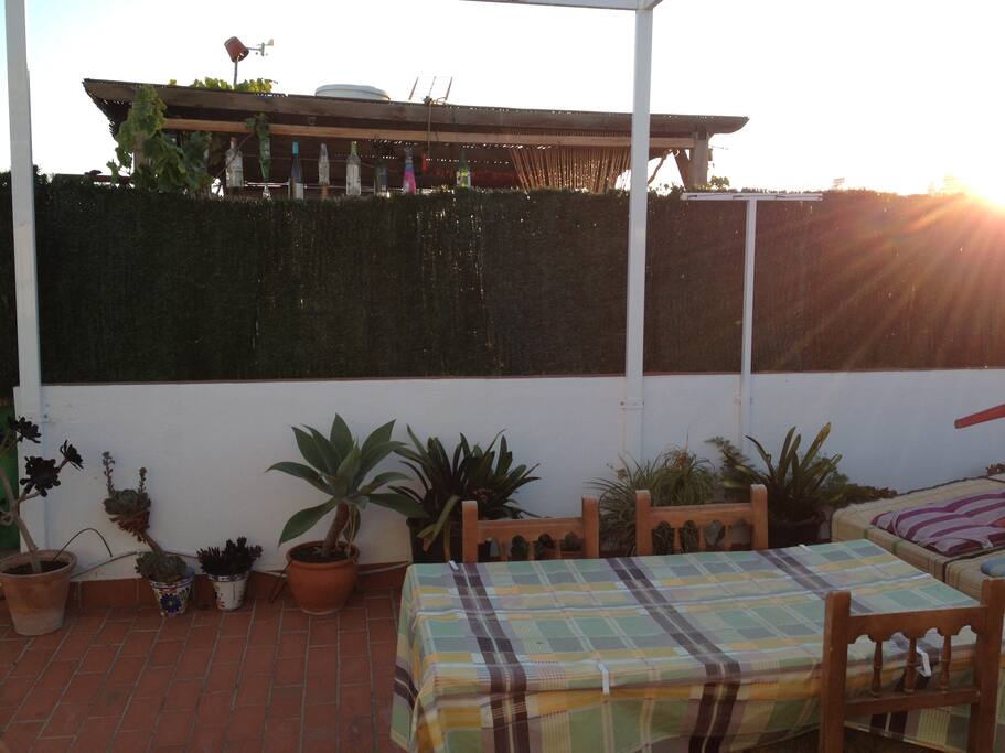 Terraza equipada