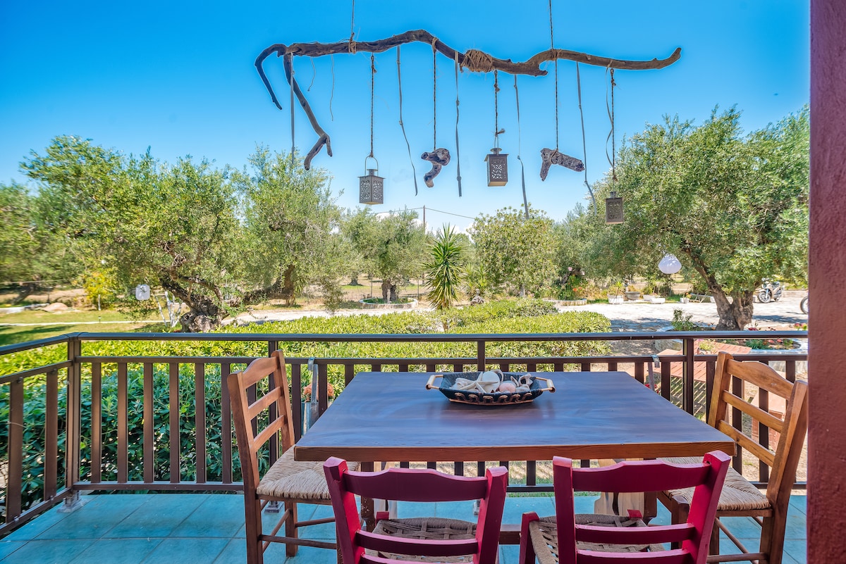 An outdoor dining area features a wooden table surrounded by pink and natural wooden chairs. Above, a rustic branch decoratively holds small lanterns. The view includes lush greenery with olive trees and various plants in the background, creating a serene outdoor setting.