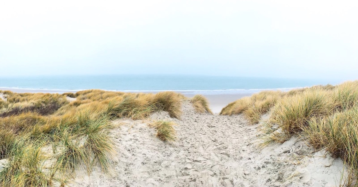 A sandy pathway, flanked by tall grasses, leads to a tranquil beach. The horizon showcases a calm ocean under a soft, overcast sky, creating a serene seaside atmosphere.