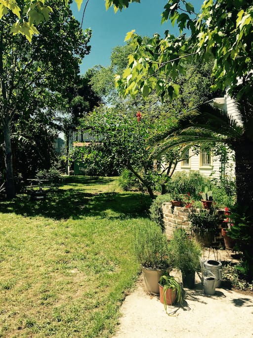 Backyard