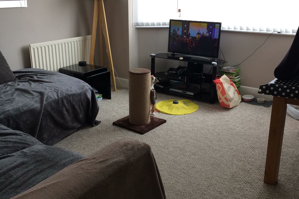 Our comfy lounge.... will be empty of 'things' when you arrive! Chairs won't be on the table either