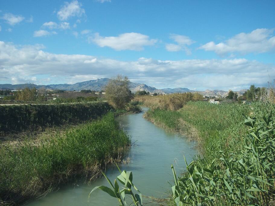 Alrededores de Lorquí, ribera del rio Segura.