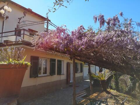 La Vivagna - House with sea view among the olive trees