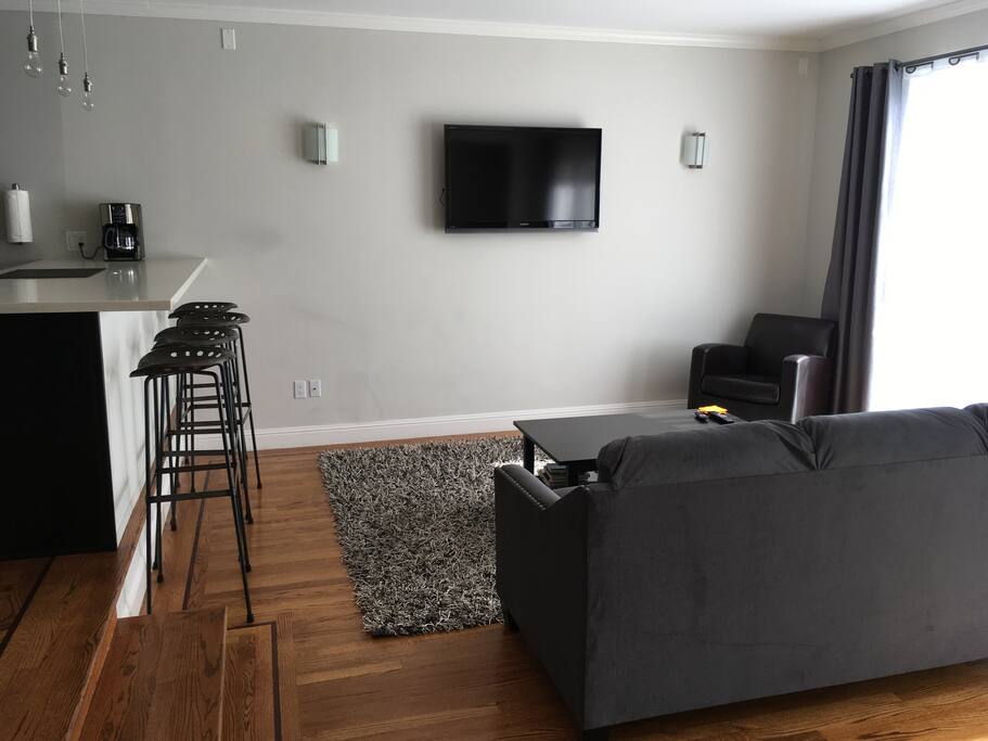WiFi, Netflix, Amazon Prime, and your own content through Roku