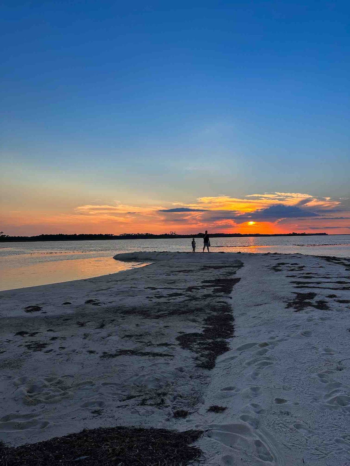 Gulf Coast Beach Getaway In Alligator Point, FL! Houses for Rent in