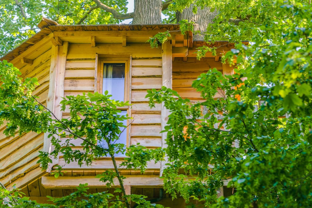 Cabane dans les branches