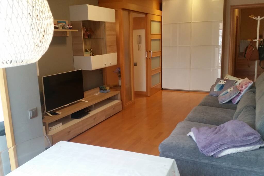Luminous Living room with TV and spacious sofa