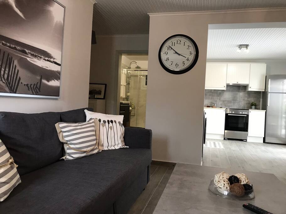Living room. Couch becomes sofa bed