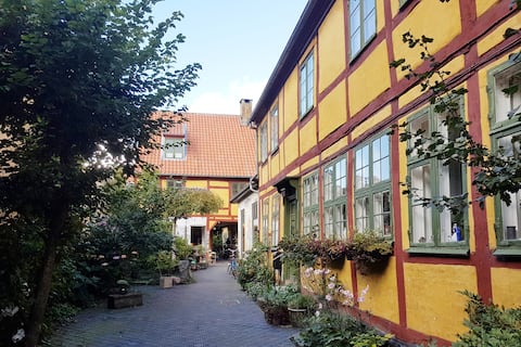 Authentic flat in Elsinore Down Town