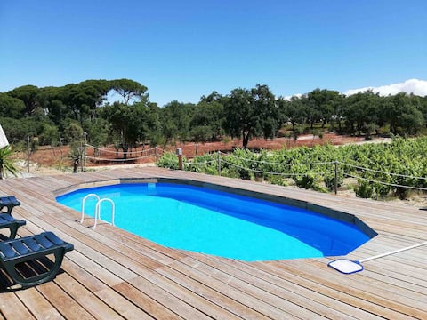 Imóvel de sucesso: Vinha do Monte - Country House em Melides